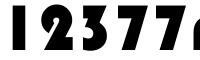 12377rs bags